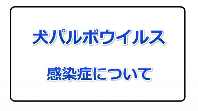 犬パルボウイルス感染症 タグの記事一覧 柴犬の図書館