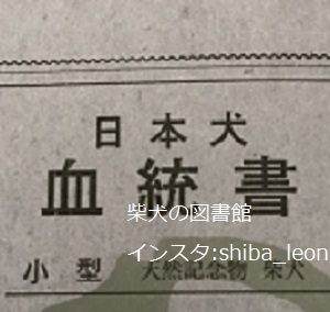 血統書ってなに 血統書とは いつもらえるの 何で血統書付きのペットは値段が高いの 柴犬の図書館