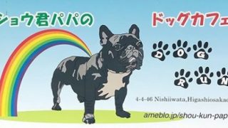 大阪府東大阪市にある室内ドッグランのドッグコート桜の料金 住所 駐車場情報 広さなど紹介 屋内ドッグラン 柴犬の図書館 柴犬の図書館