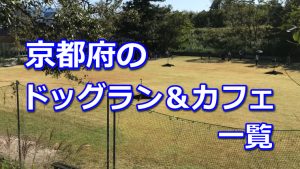 京都府全域のドッグラン ドッグカフェ一覧 室内などのおすすめドッグランもご紹介 柴犬の図書館 柴犬の図書館