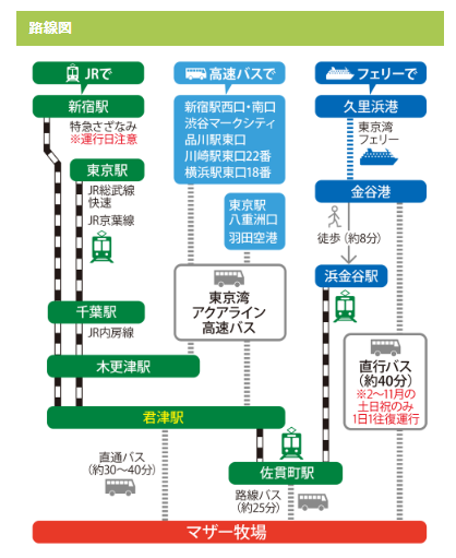 ペット同伴okのイルミネーション 千葉 マザー牧場イルミネーション18 の住所や駐車場などのご紹介 柴犬の図書館 柴犬の図書館