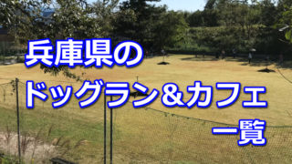 兵庫県全域のペットイベント一覧 ドッグフェスタまとめ 柴犬の図書館