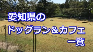 愛知県名古屋市にあるスタジオドッグランの住所や駐車場など 概要の紹介 愛知県 室内ドッグラン カフェ 柴犬の図書館 柴犬の図書館