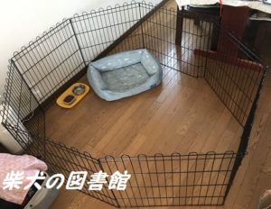 室内飼いでの愛犬におすすめで広さ自在の折りたたみケージの選び方 柴犬の図書館 柴犬の図書館