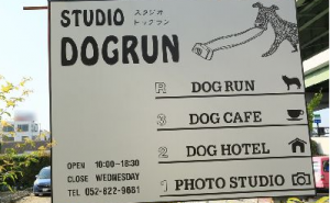 愛知県名古屋市にあるスタジオドッグランの住所や駐車場など 概要の紹介 愛知県 室内ドッグラン カフェ 柴犬の図書館 柴犬の図書館