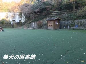 大東市にあるドッグランフィールドに行った感想の紹介 ドッグラン カフェ レビュー 大阪府 柴犬の図書館