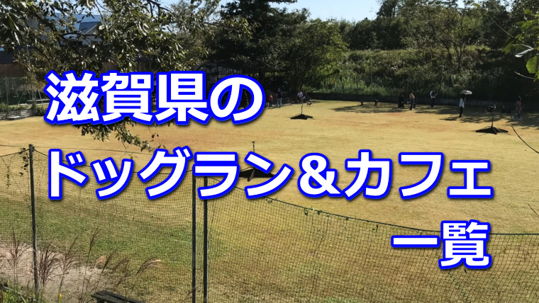 滋賀県全域のドッグラン ドッグカフェ一覧 室内などのおすすめドッグランも 柴犬の図書館