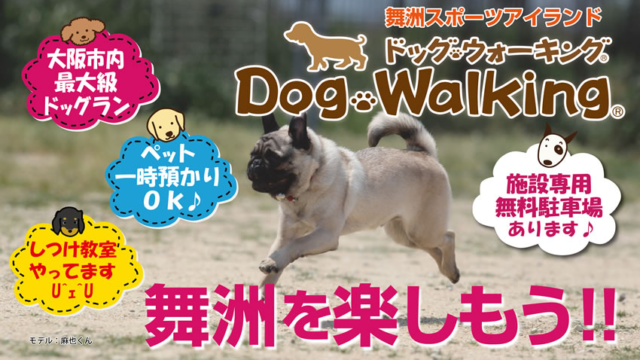 ドッグラン 大阪 タグの記事一覧 柴犬の図書館