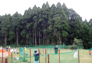 ドッグランパーク ビッグファットドッグ In千葉県緑区の住所やアクセスなど 柴犬の図書館