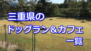 三重県全域のドッグラン ドッグカフェ一覧 室内などのおすすめドッグランもご紹介 柴犬の図書館 柴犬の図書館