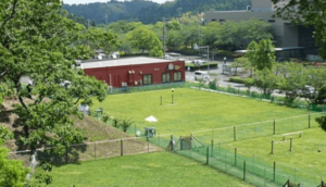 全面天然芝生のドッグラン東金in千葉県の特徴や住所 駐車場など 柴犬の図書館