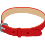 犬用の赤い首輪の写真